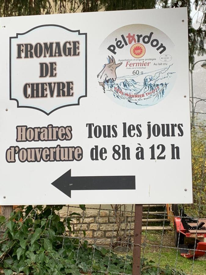 La Voutee 5 Epis Avec Bain Finlandais Prive Au Manoir Du Charme Gorges Du Tarn Bed and Breakfast Quezac  Eksteriør billede