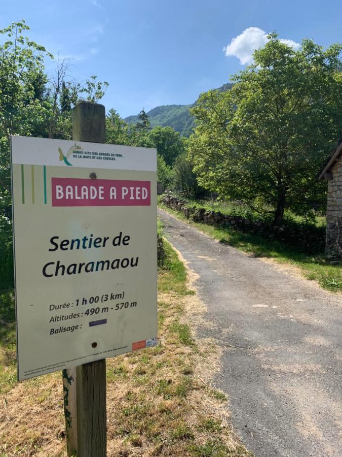 La Voutee 5 Epis Avec Bain Finlandais Prive Au Manoir Du Charme Gorges Du Tarn Bed and Breakfast Quezac  Eksteriør billede