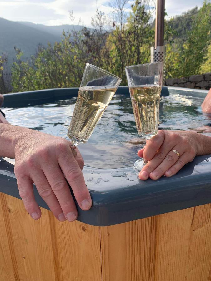 La Voutee 5 Epis Avec Bain Finlandais Prive Au Manoir Du Charme Gorges Du Tarn Bed and Breakfast Quezac  Eksteriør billede