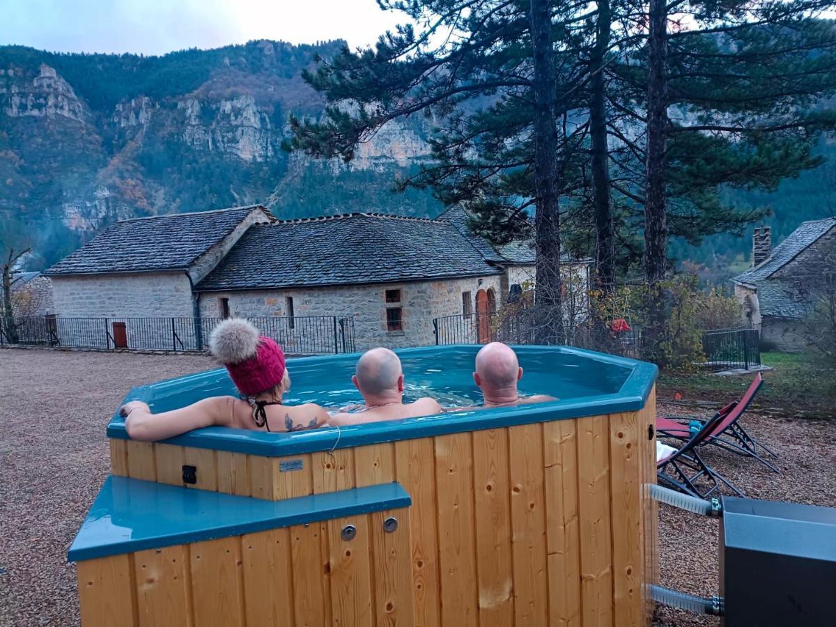 La Voutee 5 Epis Avec Bain Finlandais Prive Au Manoir Du Charme Gorges Du Tarn Bed and Breakfast Quezac  Eksteriør billede
